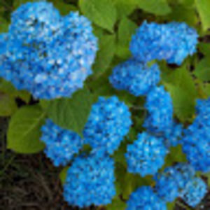 Meet your Posher, Kat